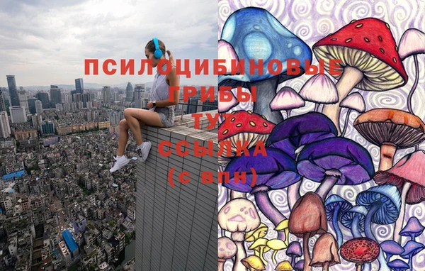 прущий лед Пересвет