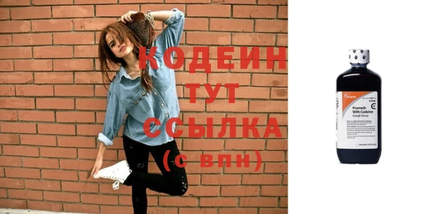 прущий лед Пересвет