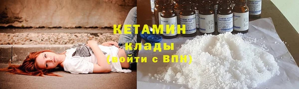 индика Пестово