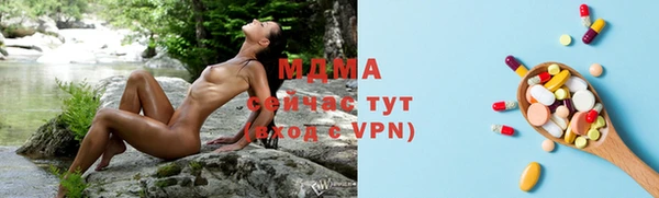 индика Пестово