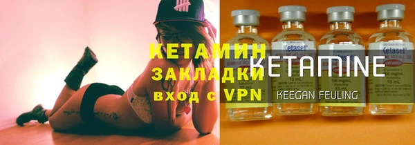 индика Пестово