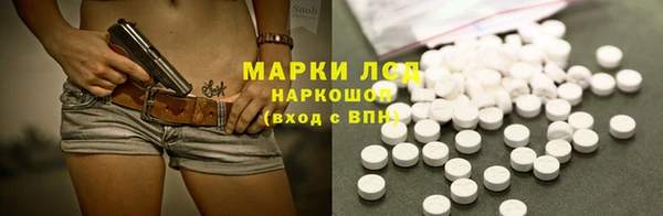 индика Пестово