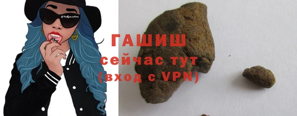 индика Пестово