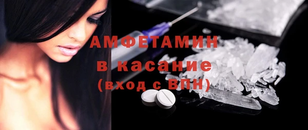 гидра Грязовец