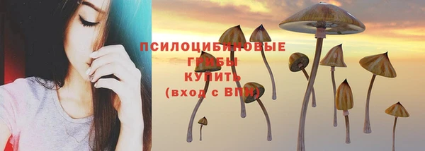 индика Пестово