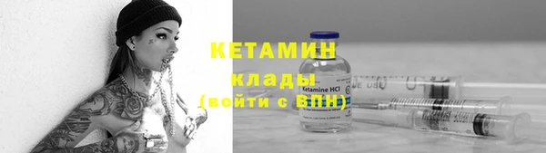 индика Пестово