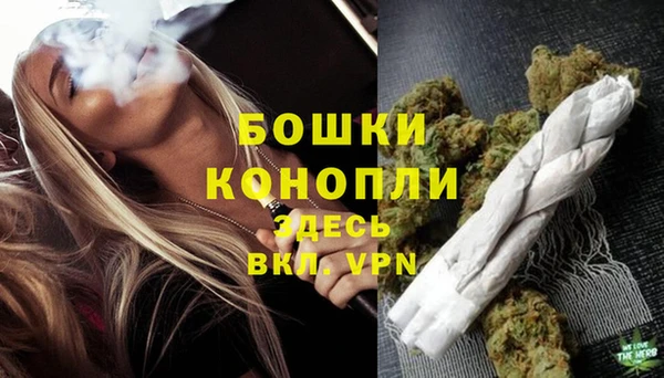 прущий лед Пересвет