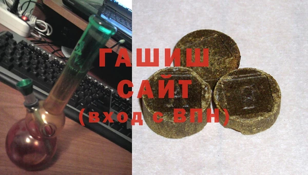 индика Пестово