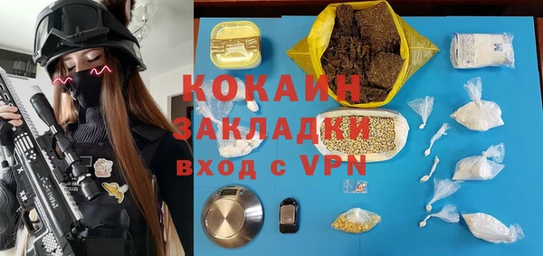 индика Пестово