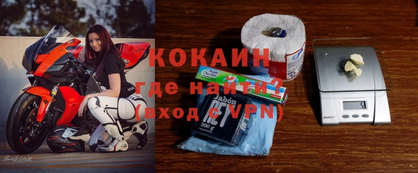 индика Пестово