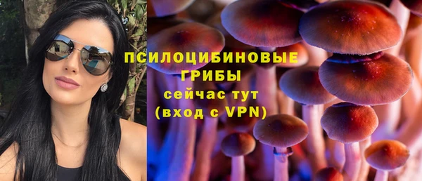 индика Пестово