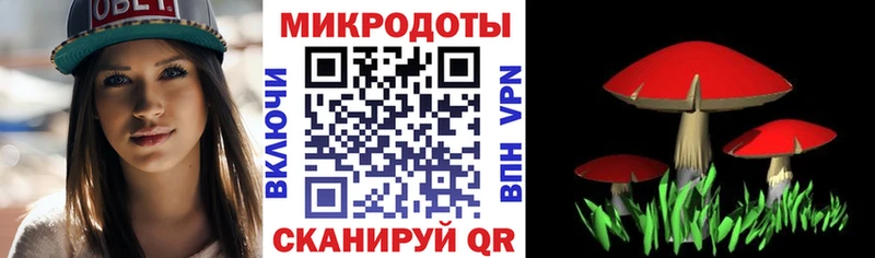 Галлюциногенные грибы MAGIC MUSHROOMS  Рошаль 